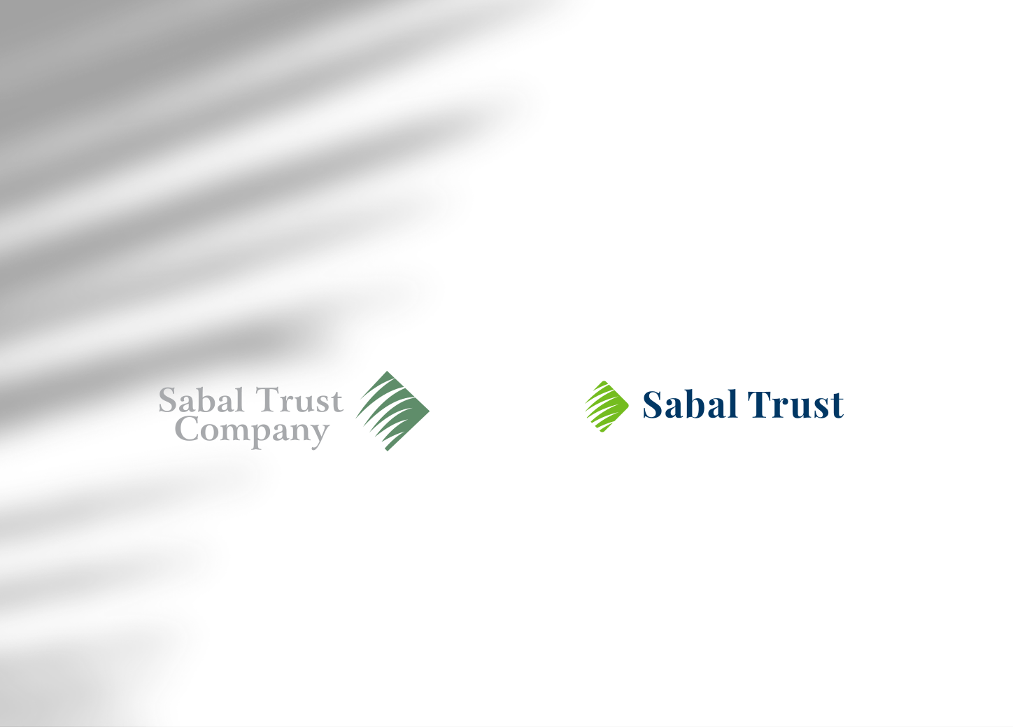 Sabal_Behance_02